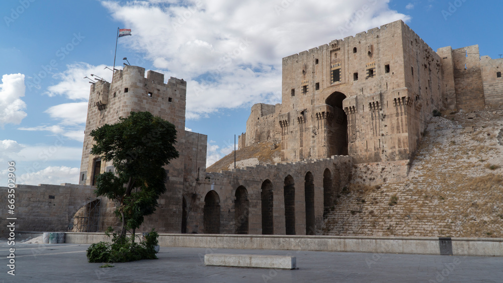 Citadel of Aleppo, Syria