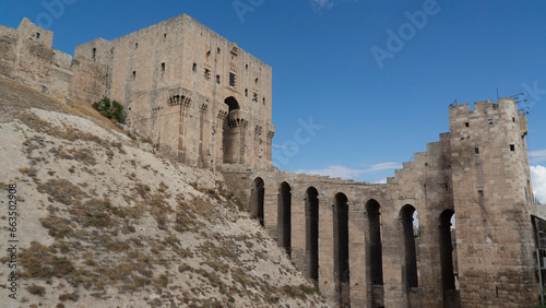 Citadel of Aleppo, Syria