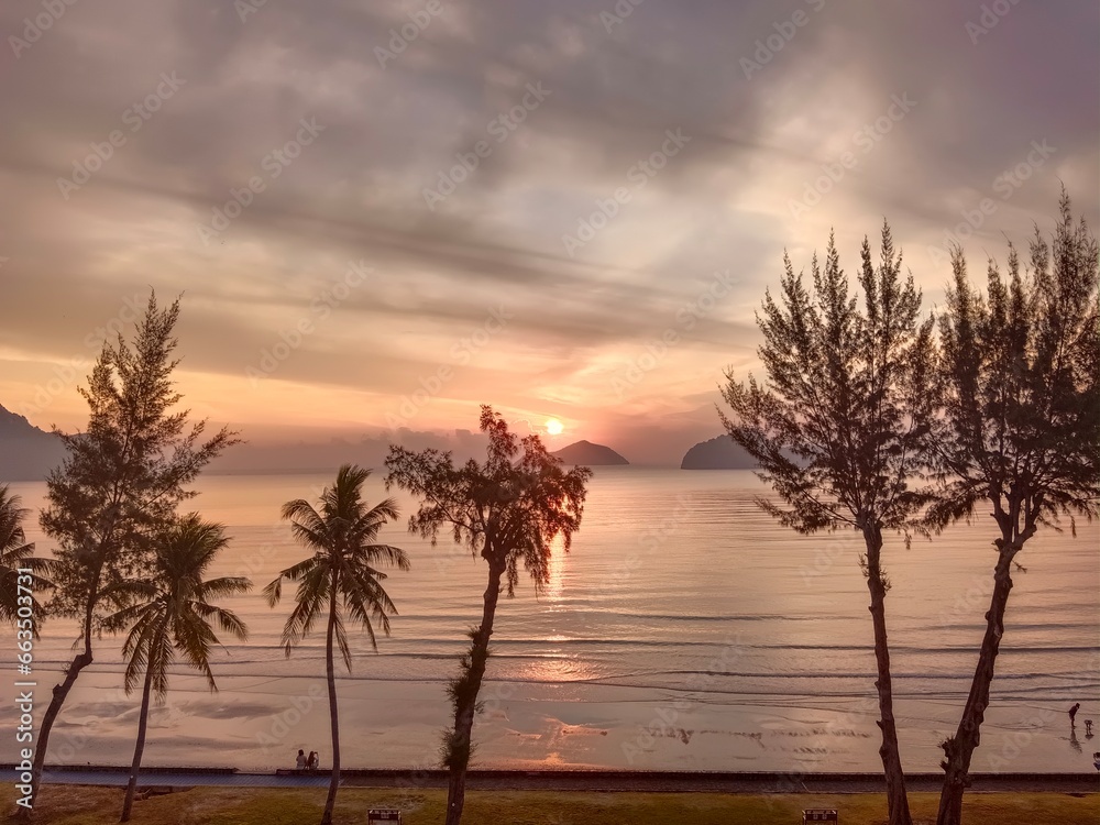Obraz premium The trees sea and sun