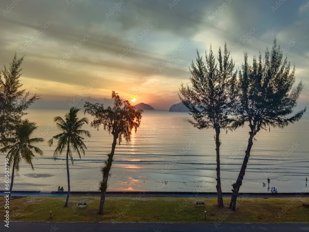 Obraz premium The trees sea and sun