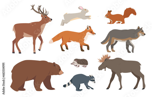 Set of Forest animals. Wild woodland mammal animal characters in different poses. Vector icons illustration isolated on white background.