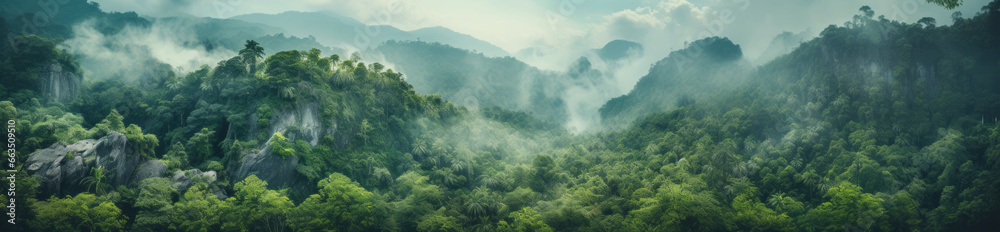 Foggy mountain landscape. Fog and cloud mountain tropic valley landscape. Aerial view, wide misty panorama
