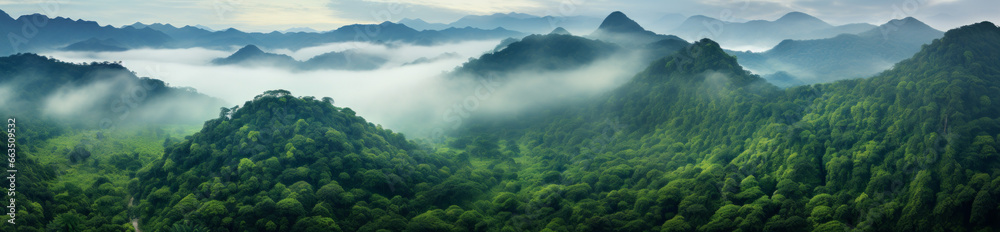 Obraz premium Foggy landscape in the jungle. Fog and cloud mountain tropic valley landscape. aerial view, wide misty panorama