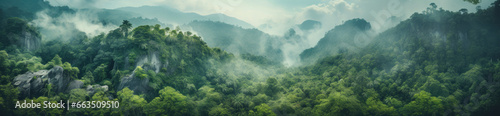 Foggy mountain landscape. Fog and cloud mountain tropic valley landscape. Aerial view  wide misty panorama