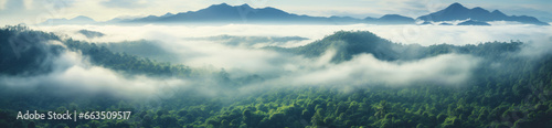 Foggy mountain landscape. Fog and cloud mountain tropic valley landscape. Aerial view, wide misty panorama © GustavsMD