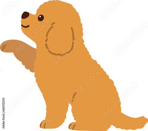 Illustration of Toy Poodle shaking hands