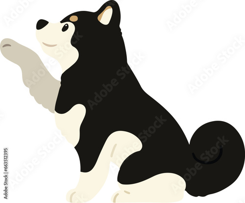 Illustration of Shiba Inu shaking hands