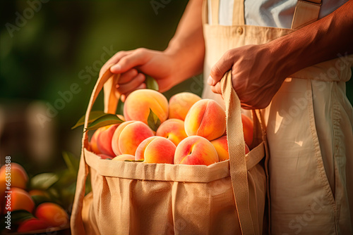 Close-up of a worker with a harvest bag full of peaches. photo