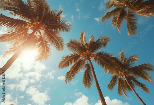  Blue sky and palm trees view from below, vintage style, tropical beach and summer background, travel concept realistic image © Masooma Fatima