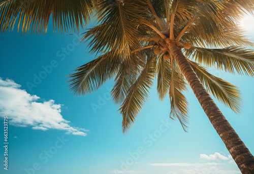  Blue sky and palm trees view from below, vintage style, tropical beach and summer background, travel concept realistic image © Masooma Fatima