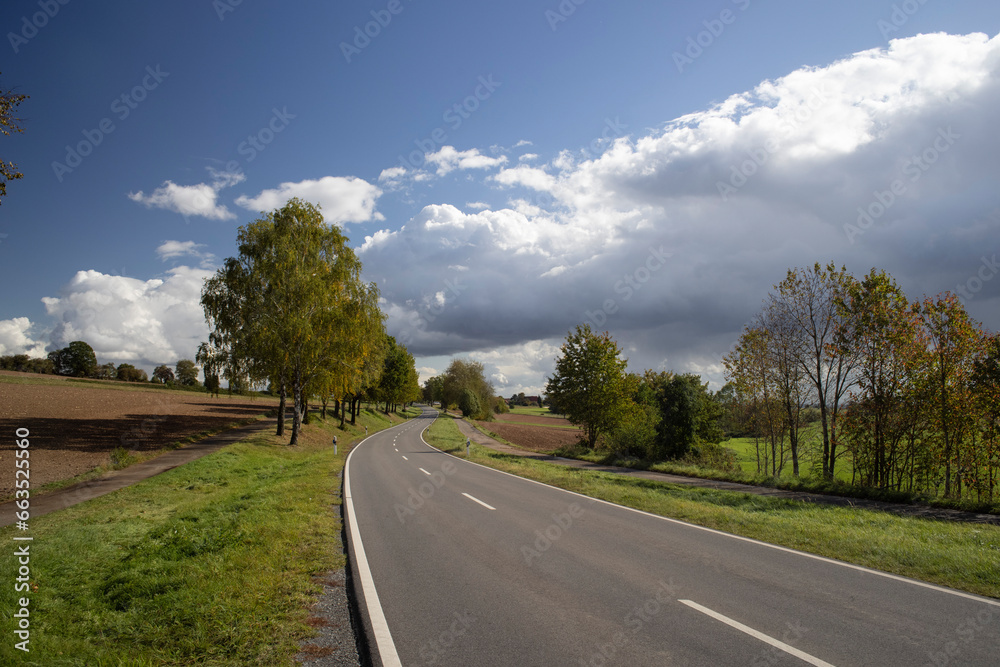 Road Panorama View Wide Angle With Trees And Blue Sky Road Panorama View Wide Angle With Trees And Blue Sky