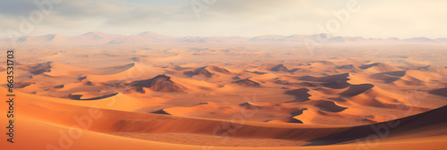 The Vast Sand Dunes of the Sahara Desert