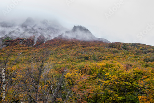 Forest and mountains landscape, tierra del fuego, argentina