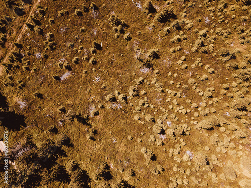 Owl Mountains (Sowie Mountains) in Poland photo