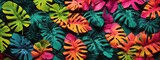 Featuring A Creative Color Layout Composed Of Tropical Leaves Arranged In A Flat Lay Fashion, Set Against A Backdrop Of Neon Colors AI Generative