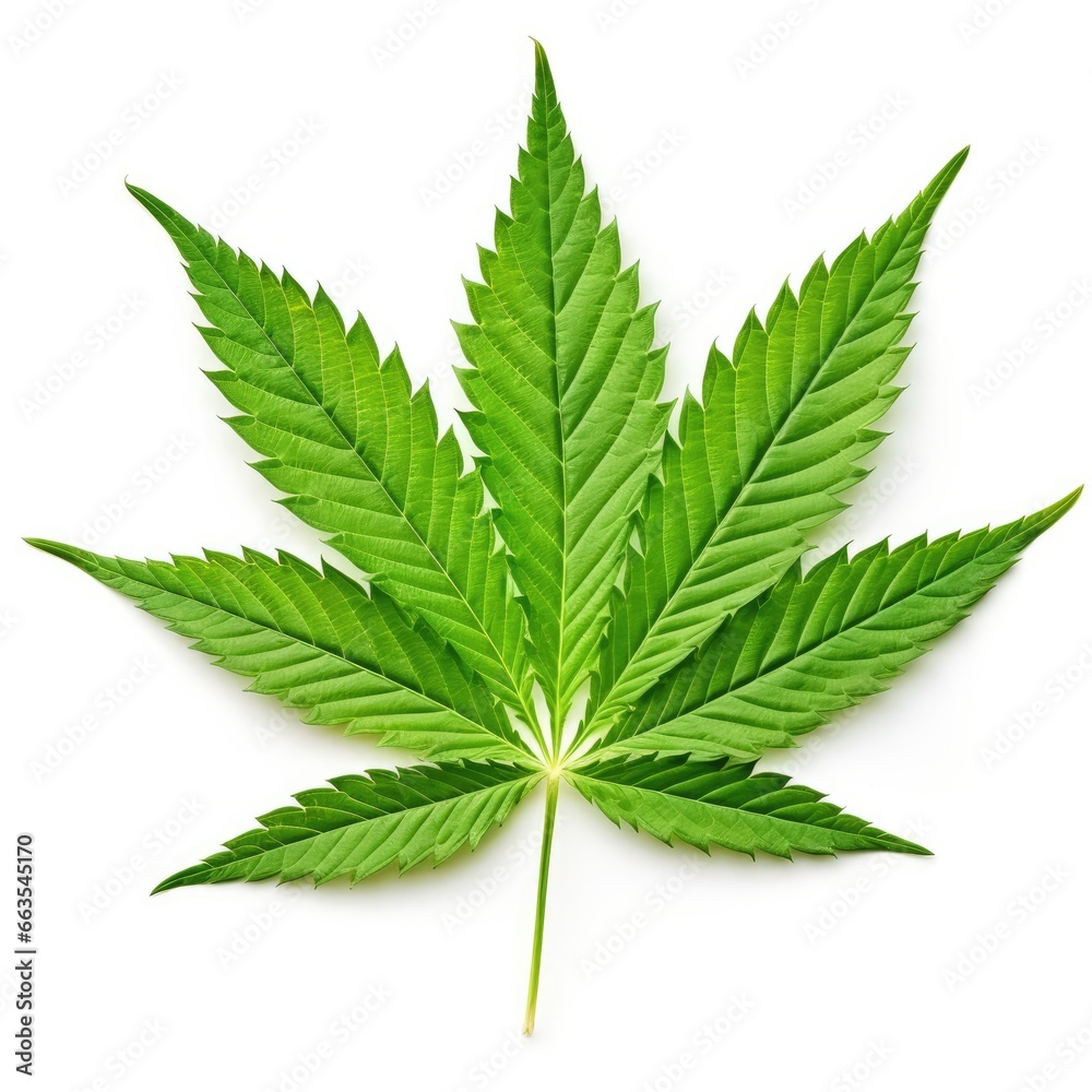 cannabis leaf isolated on white, green marijuana leaf, ai generated cannabis leaf isolated on white, green marijuana leaf, ai generated