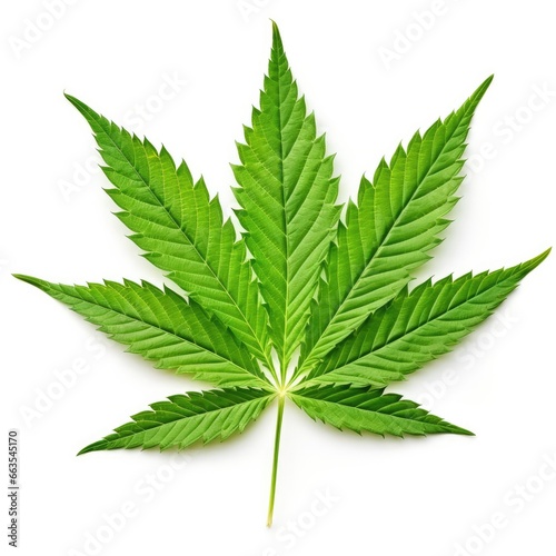 cannabis leaf isolated on white, green marijuana leaf, ai generated