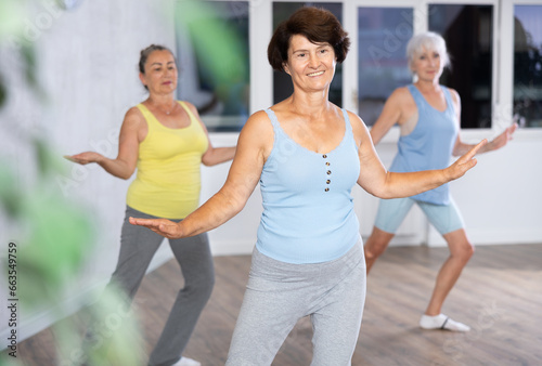 Group company of mature women learn to dance sports contemporary jazz modern in gym. Joint pastime, active lifestyle concept
