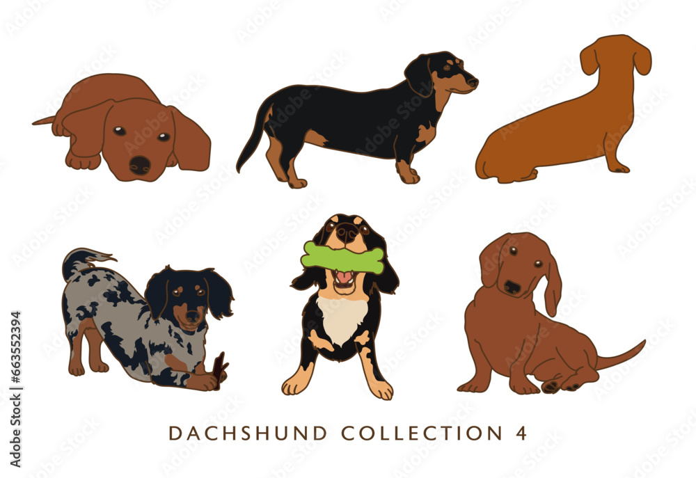 Dachshund Weiner Dog Illustration - In Color - Many Poses - Collection 4