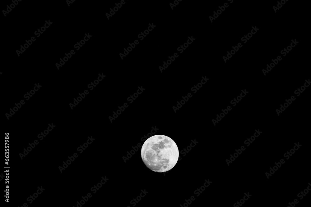 Luna Luna