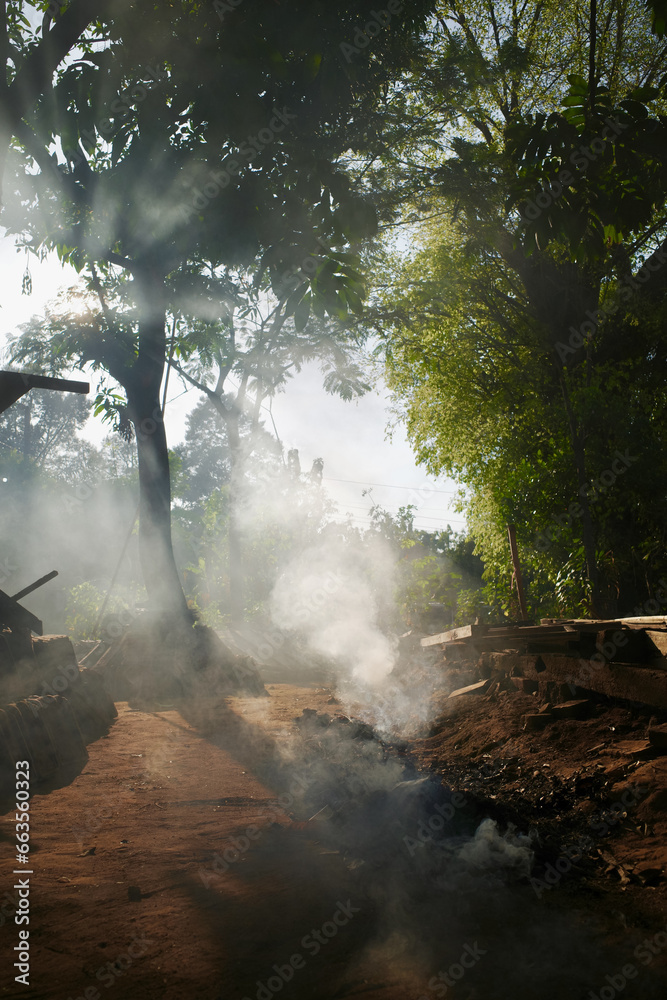 Fototapeta premium burning smoke and green nature