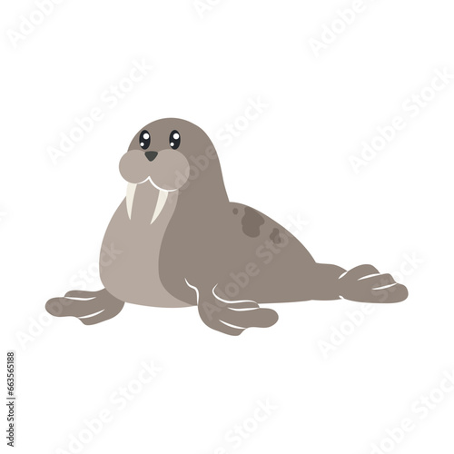 arctic walrus illustration