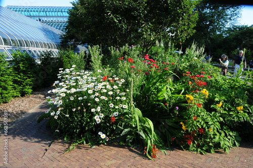 Flowers in the Garden