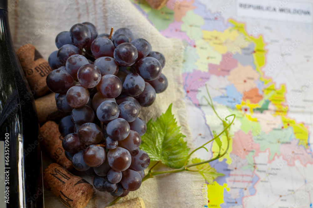 Winemaking concept. A bunch of grapes, a vine, part of a wine bottle and a cork. Against the background part of a map of Moldova. Selective focus.