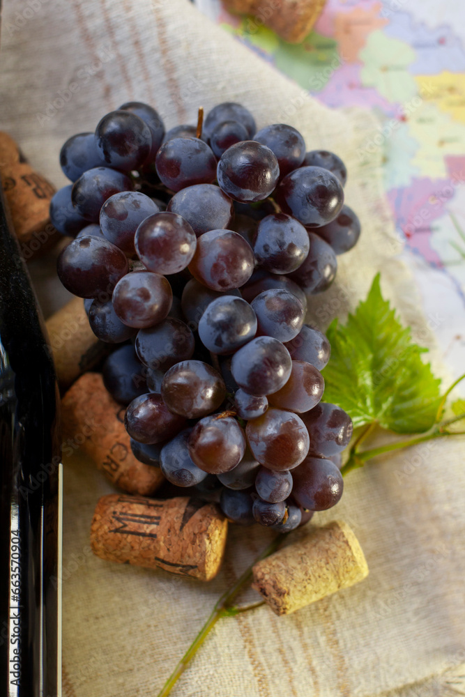Winemaking concept. A bunch of grapes, a vine, part of a wine bottle and a cork. Against the background part of a map of Moldova. Selective focus.