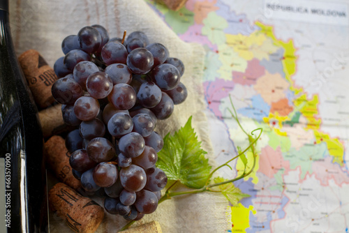 Obraz na płótnie Winemaking concept. A bunch of grapes, a vine, part of a wine bottle and a cork. Against the background part of a map of Moldova. Selective focus. w salonie