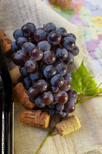 Winemaking concept. A bunch of grapes, a vine, part of a wine bottle and a cork. Against the background part of a map of Moldova. Selective focus.