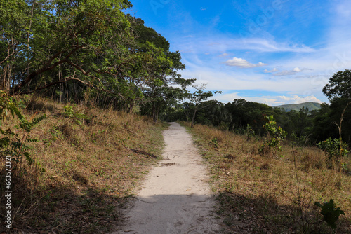 Caminho - Cerrado