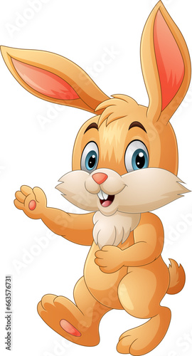 Cartoon funny rabbit on white background