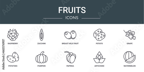 set of 10 outline web fruits icons such as raspberry, zucchini, breast milk fruit, potato, grape, potatoes, pumpkin vector icons for report, presentation, diagram, web design, mobile app