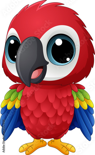 Cartoon baby macaw on white background