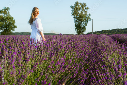 Lavender fields near Lviv, Ukraine. Blooming lavender in summer. A girl in a white summer dress walks through lavender fields and touches lavender flowers with her hand. Selective focus