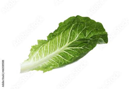 Fresh leaf of green romaine lettuce isolated on white