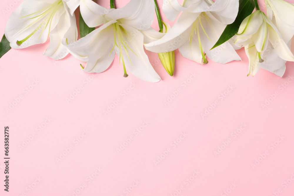 Fototapeta premium Beautiful white lily flowers on pink background, flat lay. Space for text