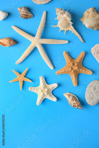 Many starfishes and shells on blue background, flat lay. Space for text