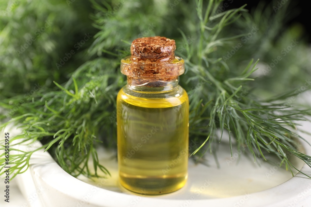 Bottle of essential oil and fresh dill on light tray, closeup Bottle of essential oil and fresh dill on light tray, closeup
