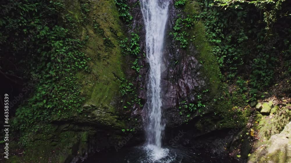 Forest Waterfall On A Sunny Day Forest Waterfall On A Sunny Day