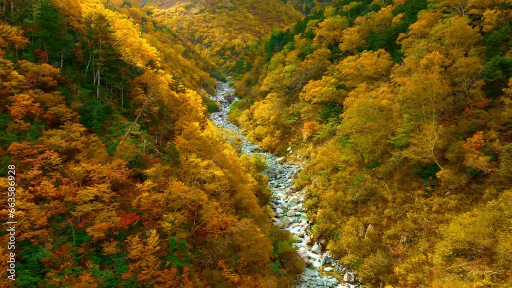 autumn in Japan background, aerial view of Japanese Alps in the fall, colourful autumn forest in Kamikochi valley, hiking in autumn in Japanese mountains autumn in Japan background, aerial view of Japanese Alps in the fall, colourful autumn forest in Kamikochi valley, hiking in autumn in Japanese mountains
