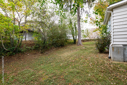 yard outdoor area