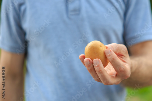 A man's hand holds a potato. Selective focus on hands with blurred background