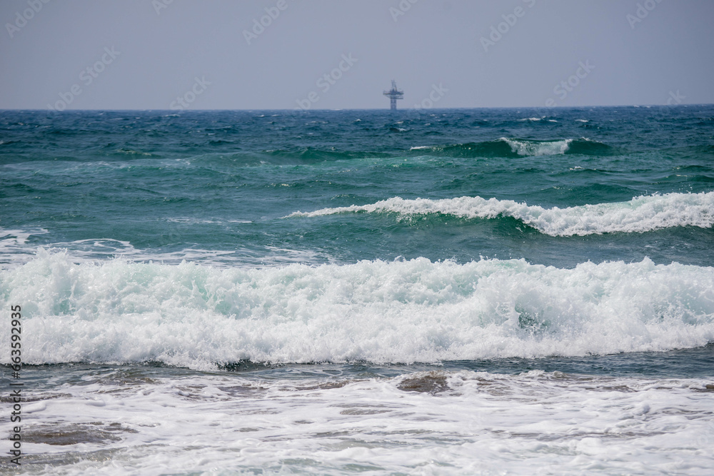 海 海