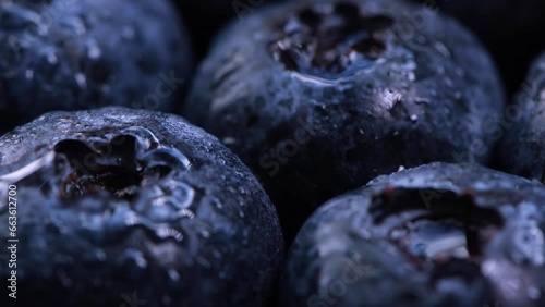 Wallpaper Mural Close up fresh juicy blueberries with water drops. Fruit concept. Torontodigital.ca