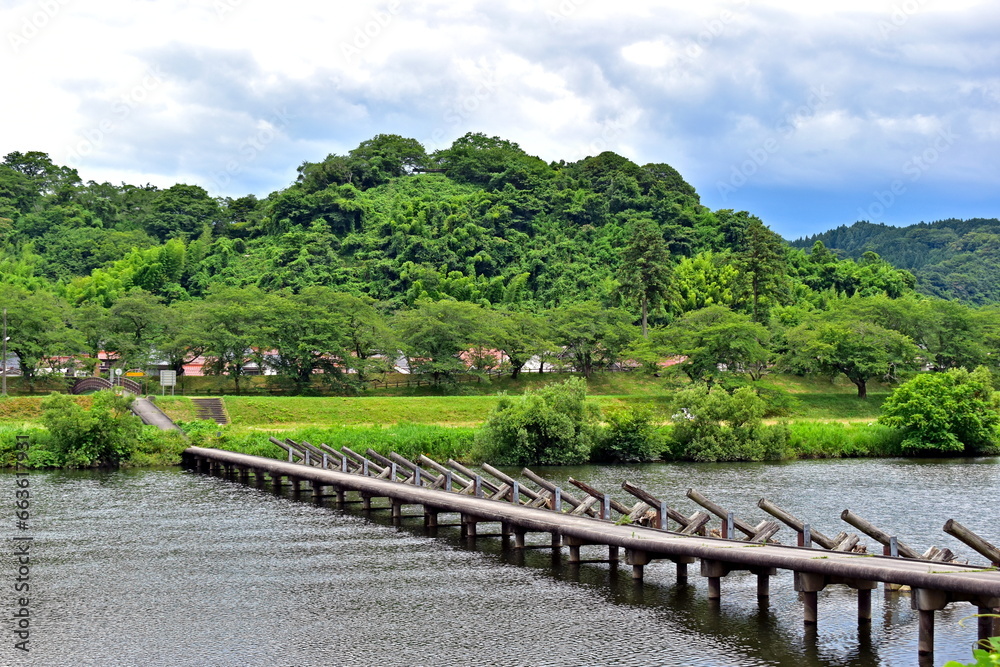 願い橋　斐伊川堤防桜並木　島根