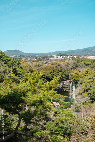Fototapeta Naklejka Na Ścianę i Meble -  Cheonjiyeon waterfall and green forest park view in Jeju island, Korea