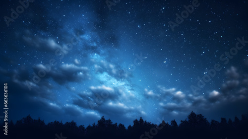 Nocturnal Sky's Elegance
