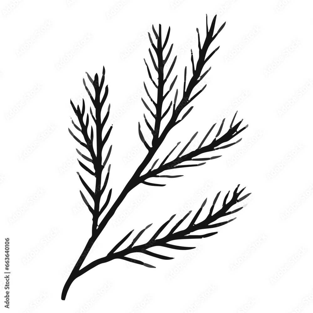 Herbs Element Herbs Element